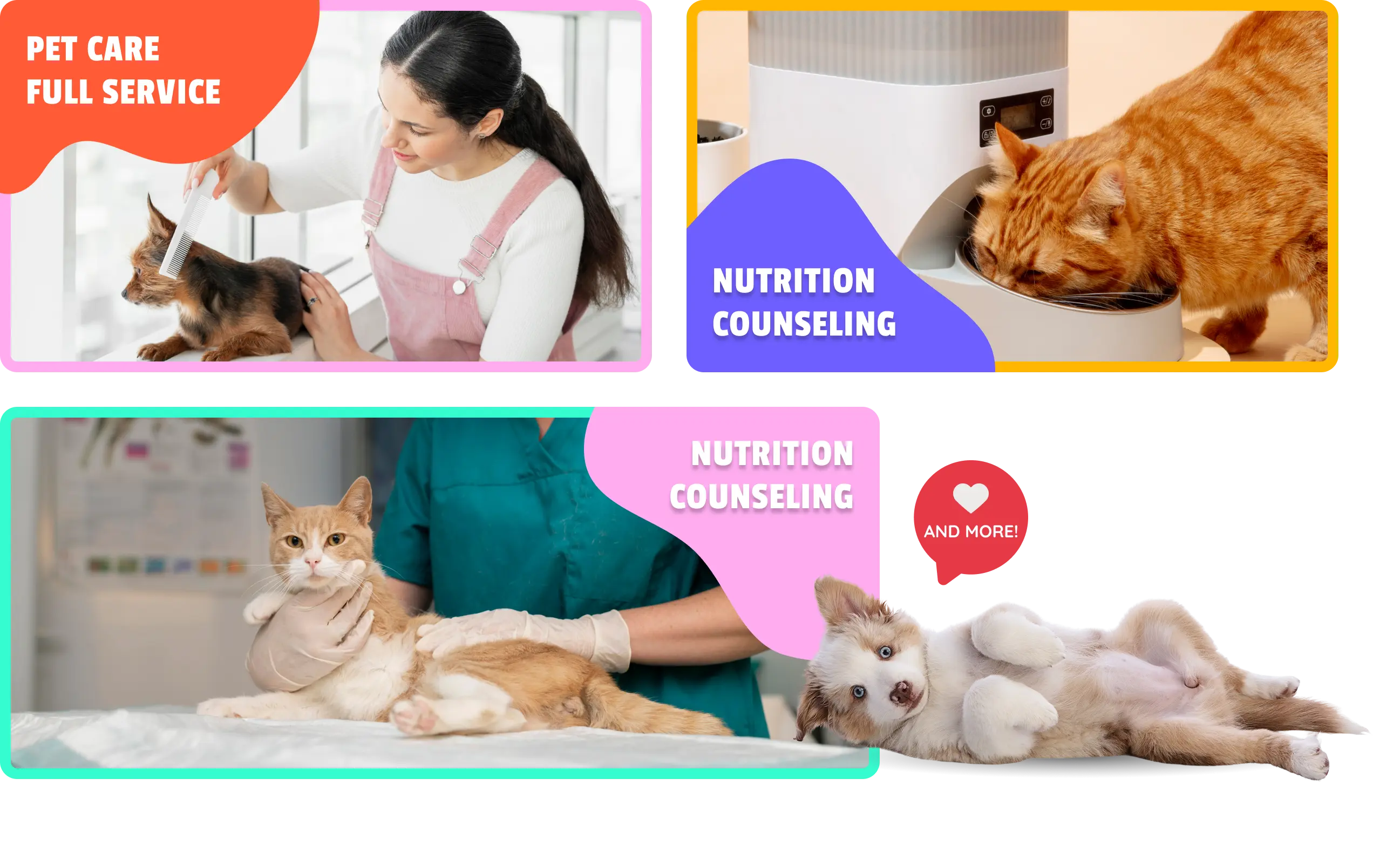 Professional pet services at MEOWTIVERSE