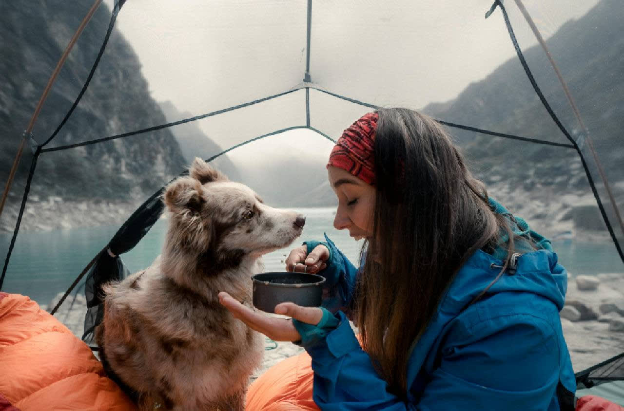 Sample Post 2 – Dog Diet You Need To Know – Pet