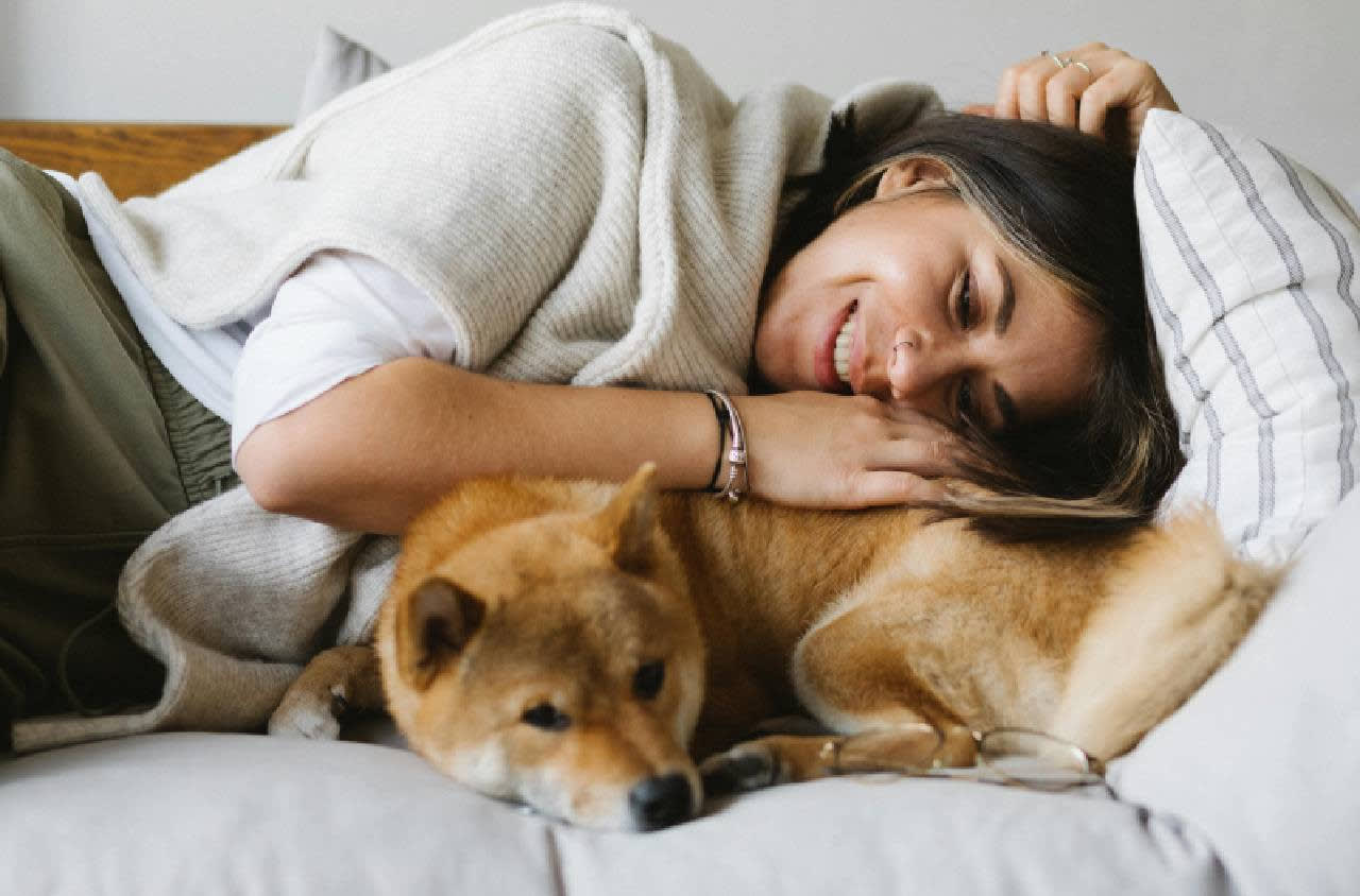 Sample Post 15 – Why Dogs Bite and Destroy Furniture and How to Prevent It Effectively – Pet