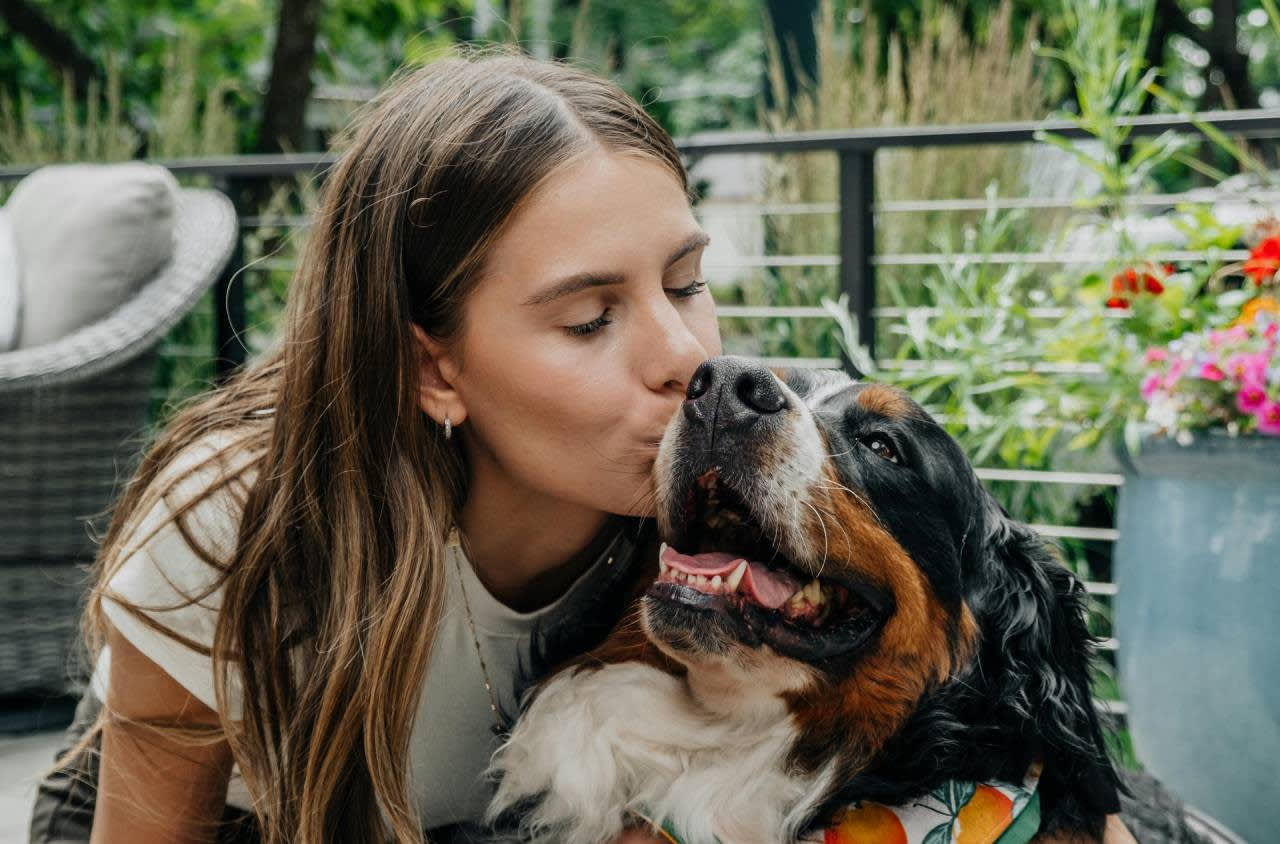 Sample Post 12 – Why Dogs Bite and Destroy Furniture and How to Prevent It Effectively – Pet
