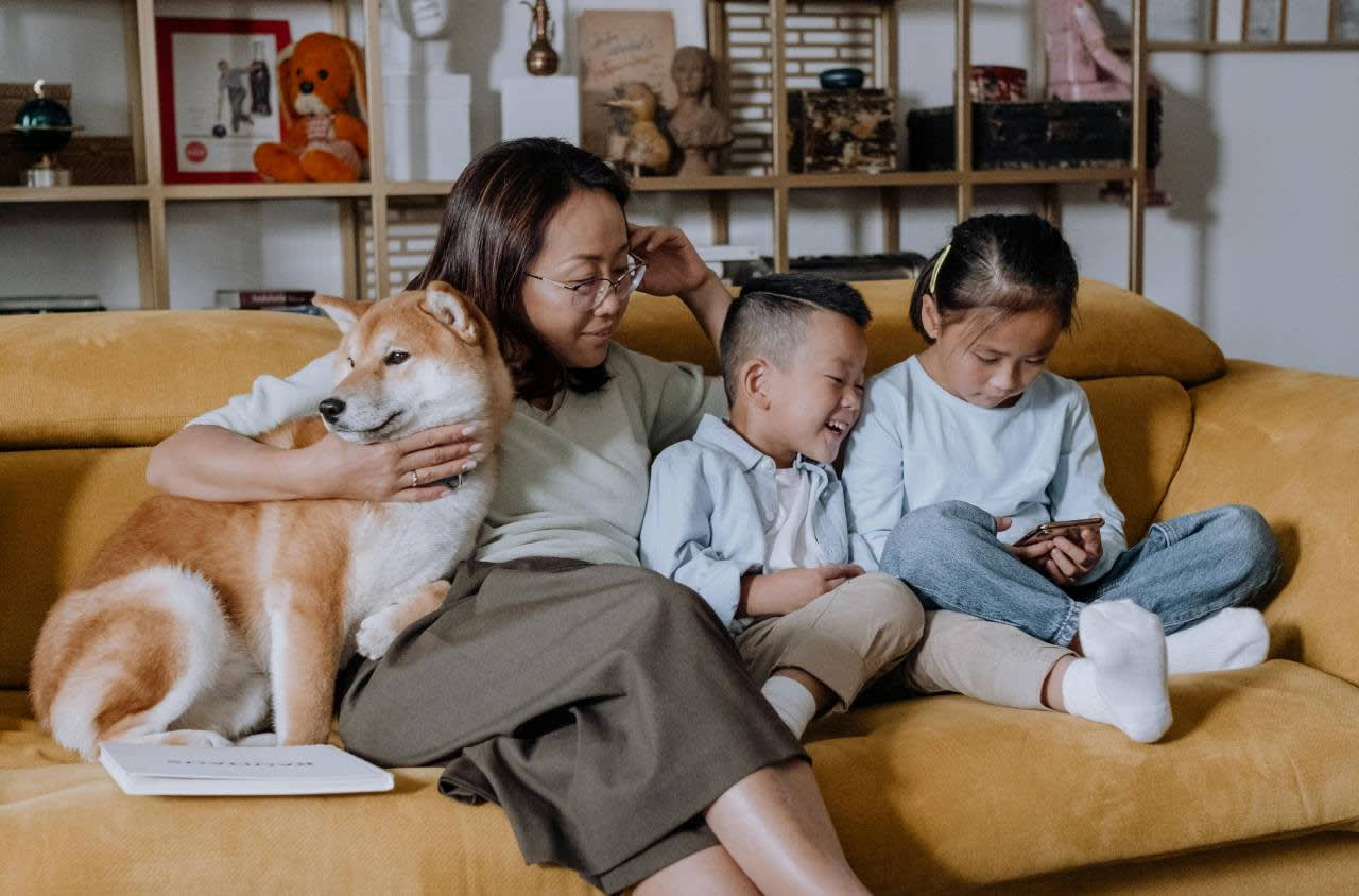 Sample Post 6 – Why Dogs Bite and Destroy Furniture and How to Prevent It Effectively – Pet