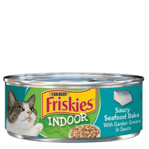 Nourishing Kibble for Contented Cats